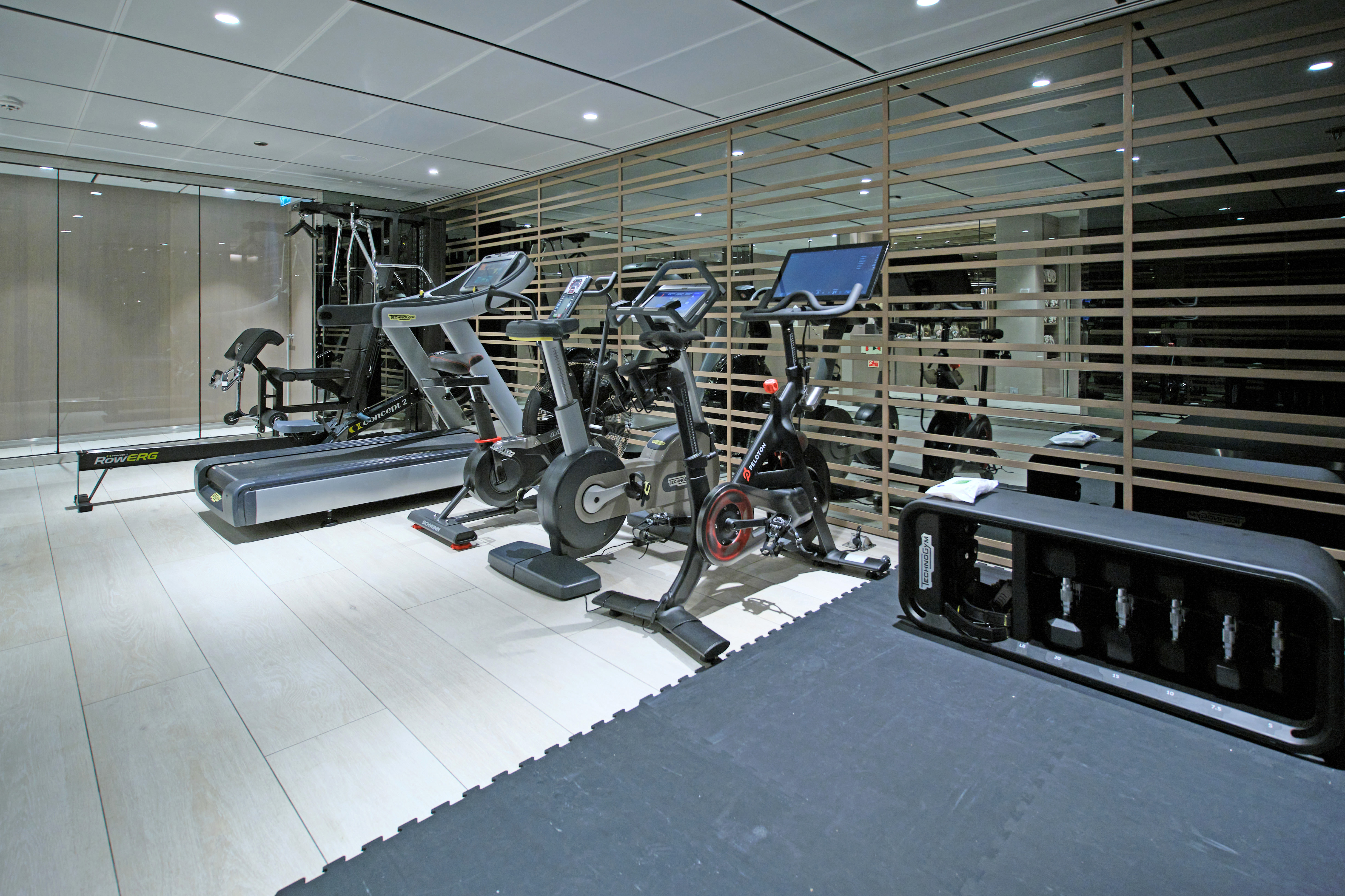 Emerald Sakara - Gym